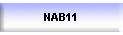 NAB11